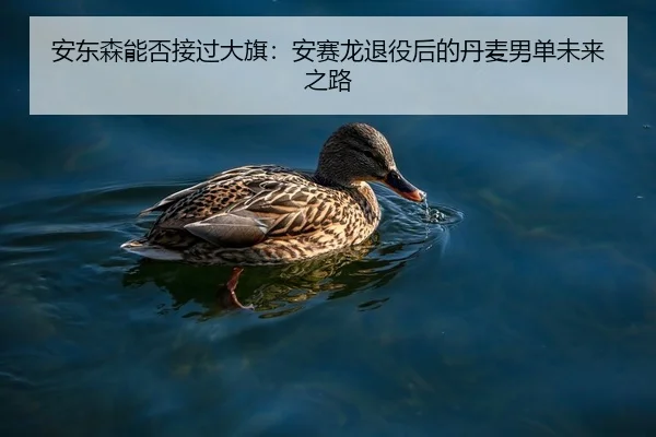 安东森能否接过大旗：安赛龙退役后的丹麦男单未来之路