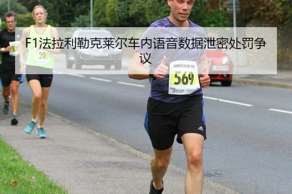 fa-la-li-lei-ke-lai-er-che-nei-yu-yin-shu-ju-xie-mi-chu-fa-zheng-yi-3-979.jpg