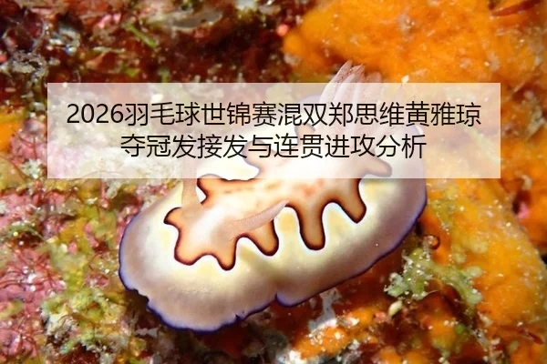 yu-mao-qiu-shi-jin-sai-hun-shuang-zheng-si-wei-huang-ya-qiong-duo-guan-fa-jie-fa-yu-lian-guan-jin-gong-fen-xi-3-976.jpg